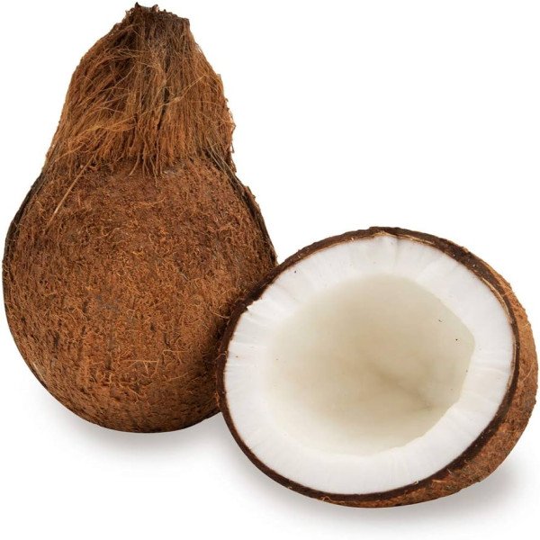 Coconut (Without Cover)