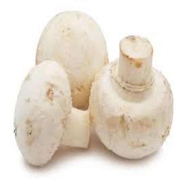 Mushroom || Purnea Online Service